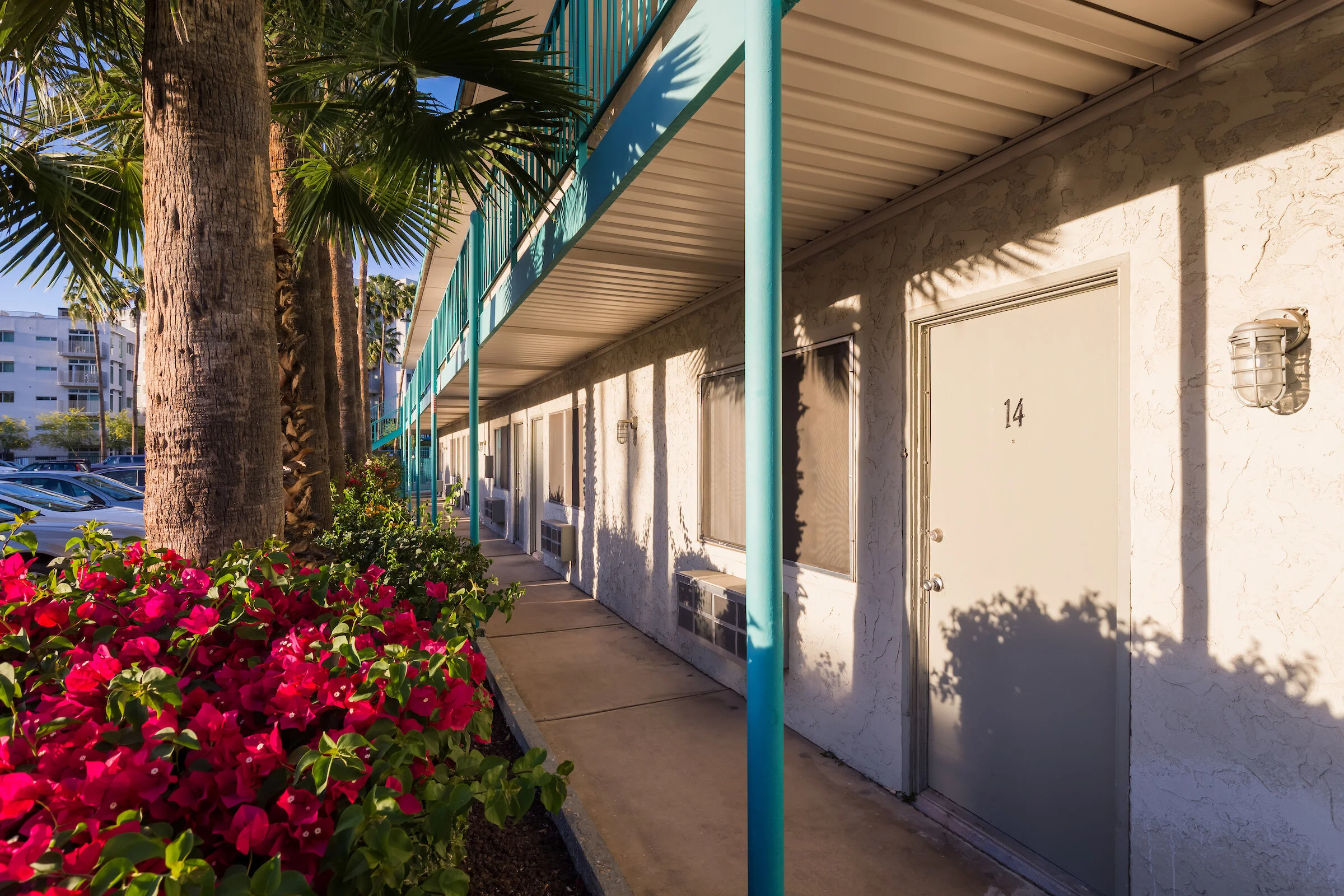 Cortez Palms — University Pointe